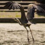 一道本视频专区 2676214d7c