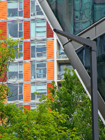 一本大道香蕉久97在线播放