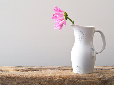 请你原谅我 中文字幕