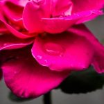 看香蕉视频一直看一直爽 6jl95