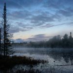 真人做a免费观看 6xz0lkn