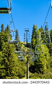 一路成年免费观看视频