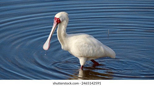 丁香婷婷综合久久来来去