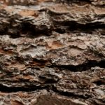 欧美AV电影 dppck8mc9f