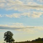 一级a做爰片 333si com giz9mm0u