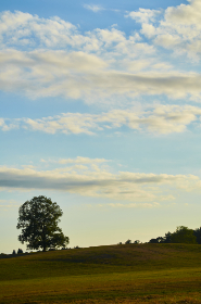 一级a做爰片 333si com