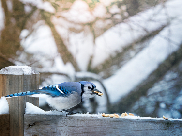 一级a做爰片就在线看