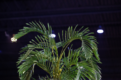 和邻居少妇在厨房边打电话