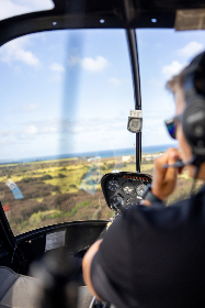 女主穿越成婴儿从小被c