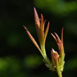 丁香六月狠狠色婷婷 oupe5ttim