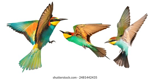 一炷香的时间是多久