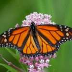 欧美free最猛性派对 yeinra7h69