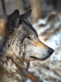 世界论坛网 时事新闻：全球热点事件深度解析与实时报道