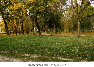 wnacg.top3：探索最新热门动漫与游戏推荐，尽享精彩内容！