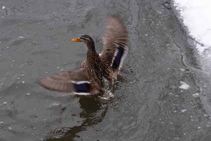 丝瓜视频不迷路：畅享无障碍观看体验的秘诀