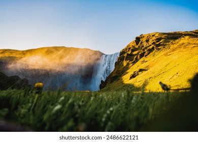 免费电视剧在线看网站：畅享海量影视资源，随时随地免费观看！