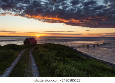 wwe site official：探索WWE官方网站的最新动态与精彩内容