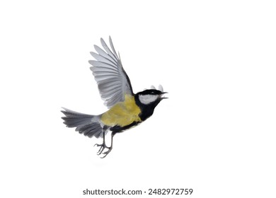 名侦探柯南 在线观看中文版：畅享精彩推理故事，解锁悬疑谜团的乐趣