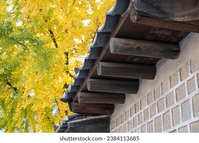 如何在最佳购买时机选购RTX 4090显卡