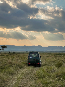 八哥电影网：探索最新热门影片与精彩影评