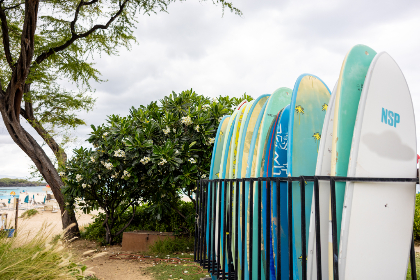 免费的电影在线观看网站：畅享海量影视资源，轻松免费观看热门影片