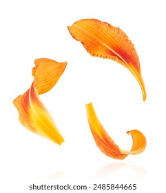 抖胸舞蹈：释放魅力与自信的舞动艺术