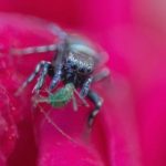 探索 volmoe.com:数字时代的创新平台与服务 b69kq2q8a